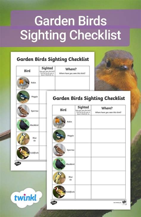 sawi bird|Sawi bird checklist .